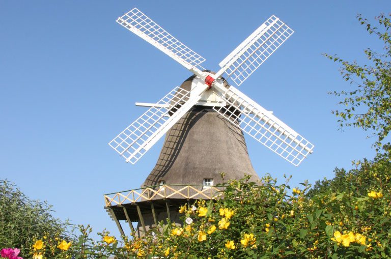 Schiffscharter Dänemark- Windmühle